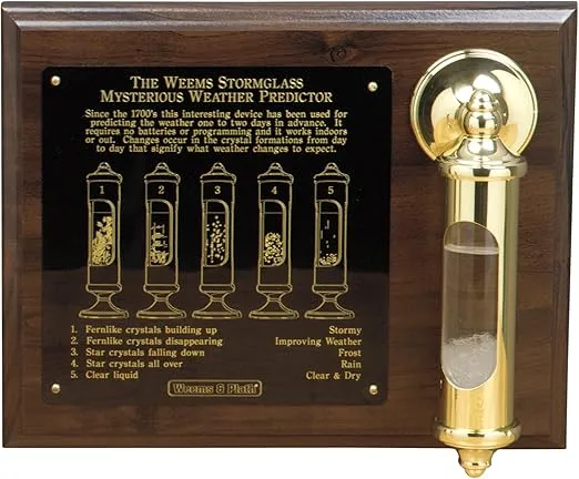 Weems and Plath Stormglass with Display