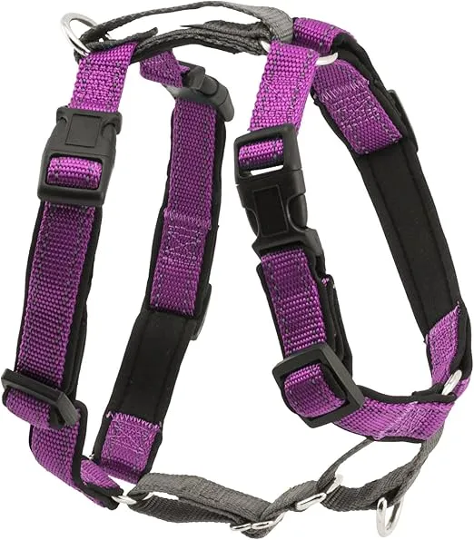 PetSafe 3 in 1 Dog Harness - No Pull Solution for Dogs - Reflective Dog Harness - Front D-Ring Clip Helps Stop Pulling - Comfortable Padded Straps - Top Handle Enhances Control - Plum - Extra Small