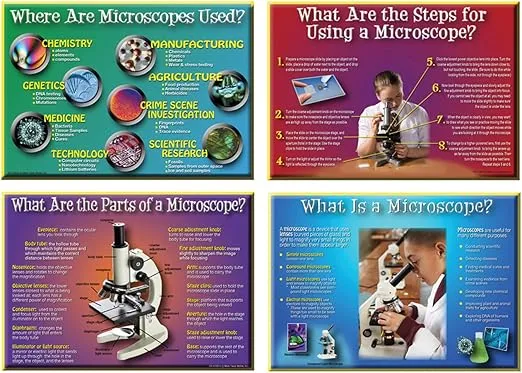 Carson Dellosa Mark Twain How to Use a Microscope Bulletin Board Set (410075)