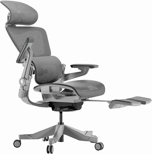 HINOMI H1 Pro V2 Ergonomic Office Chair with Footrest - Home Office Desk Chair with Lumbar Support, Mesh Office Chair with Foot Rest, Comfy Computer Chair with Back Support (Gray, Large)