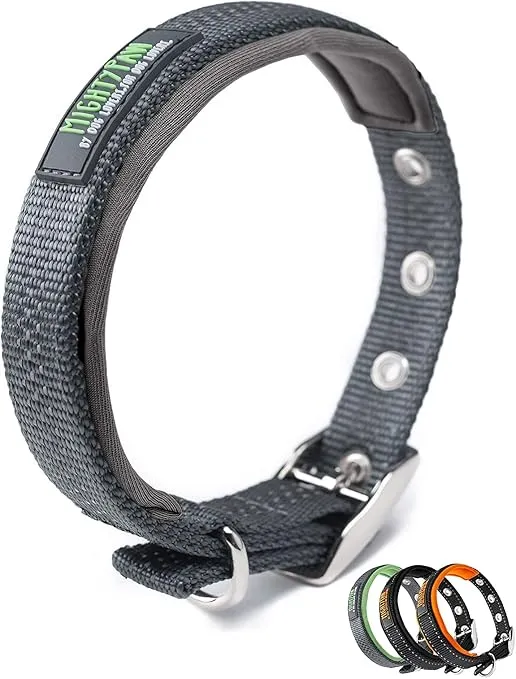 Mighty Paw Ultra Soft Dog Collar - Ultimate Comfort with Soft Neoprene Padding - All-Metal Adjustable Buckle for Large & Small Dogs - Mighty Strong for Long Lasting Durability - Stay Safe and Visible