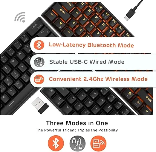 RK ROYAL KLUDGE RK61 Wireless 60% Triple Mode BT5.0/2.4G/USB-C Mechanical Keyboard, 61 Keys Wireless Mechanical Keyboard, Compact Gaming Keyboard with Software (Hot Swappable Blue Switch, Black)