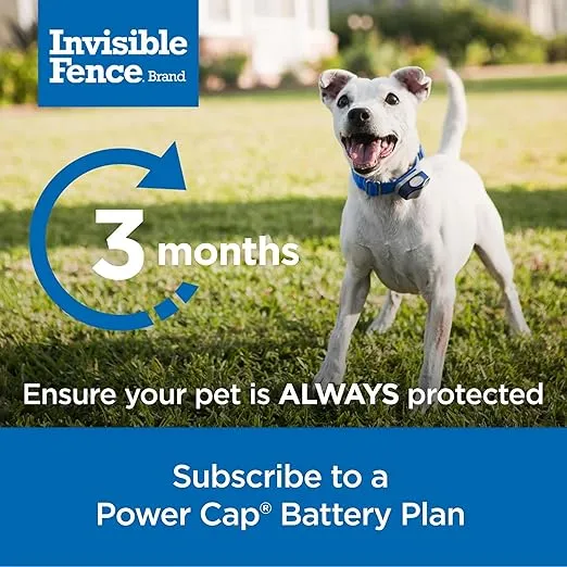 Invisible Fence Power Cap Battery Battery (1 Pack) Electric Fence Battery Replacement Original Brand Product, Electric Fence Collar Battery