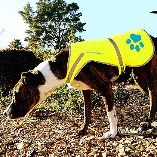 Urban Dog Reflective Vest. Our Fluorescent Hi-Visibility Dog Jacket in Multi-Colors Helps to Safeguard Your PUP in The Outdoors On and Off Leash Medium