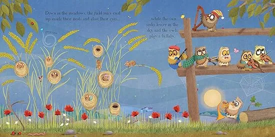 Baby's Bedtime Music Book (Musical Books)