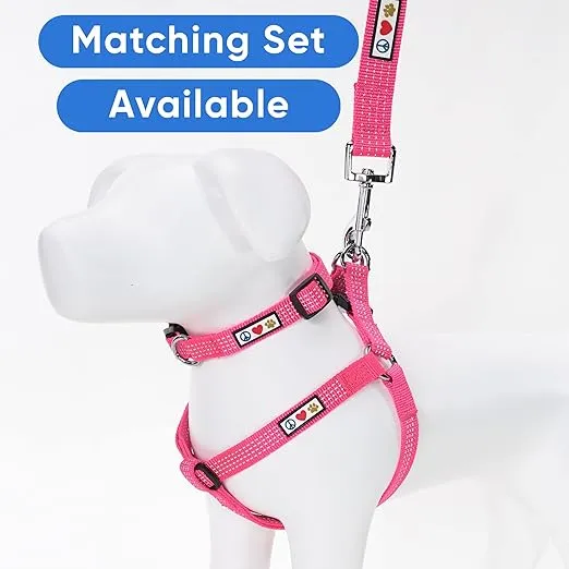 Pawtitas Reflective Dog Collar Adjustable Dog Collars for Small Dogs Puppy Collar Small Dog Collar Pink Dog Collar