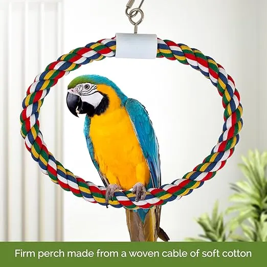 JW Pet Swing N' Perch, Large
