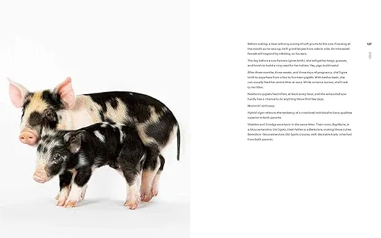 On the Farm: Heritage and Heralded Animal Breeds in Portraits and Stories
