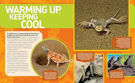 Ultimate Reptileopedia: The Most Complete Reptile Reference Ever