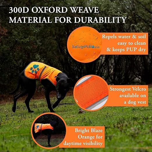 Reflective Dog Vest. Hi-Visibility, Fluorescent Blaze Orange Dog Vest Helps Protect Your Best Friend. Safeguard Your PUP from Motorists & Hunting Accidents, On or Off Leash. (Large)