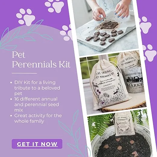 Pet Perennials Memorial Wildflower Garden DIY Kit Creates Seed Wafers Pet Loss Gift