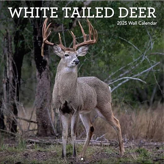TURNER PHOTOGRAPHIC White Tailed Deer 12x12 Photo Wall Calendar (25998940059)