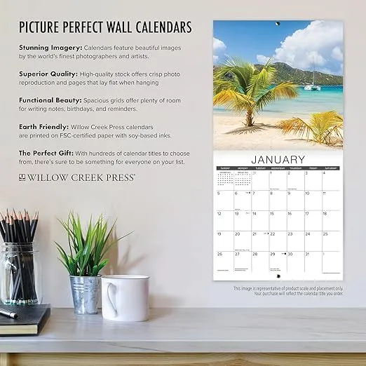 Willow Creek Press Dream Cars Monthly 2025 Wall Calendar (12" x 12")