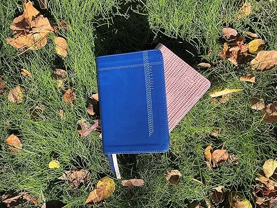 NIV, Reference Bible, Compact, Leathersoft, Blue, Red Letter, Comfort Print