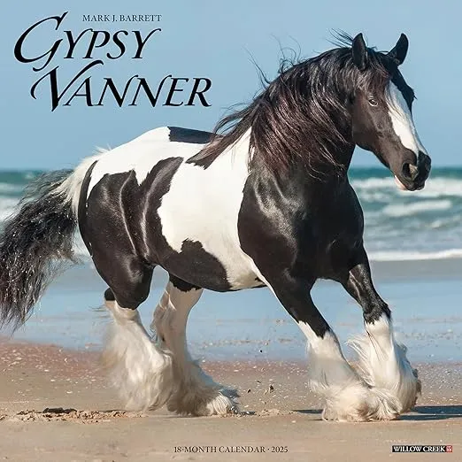 Willow Creek Press Gypsy Vanner Horse Monthly 2025 Wall Calendar (12" x 12")