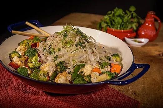 Broil King Cast Iron Porcelain Wok