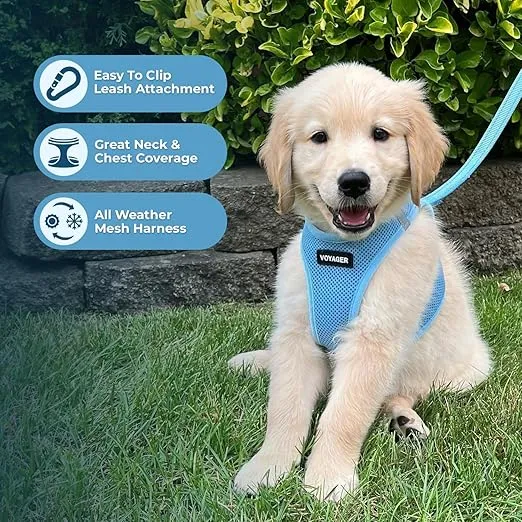 Voyager Step-in Air Dog Harness - All Weather Mesh, Reflective, No Pull Harness for Small, Medium Dogs, Cats - Secure with Hook & Loop Fastener, Buckle, Double D-Rings - Baby Blue, XL