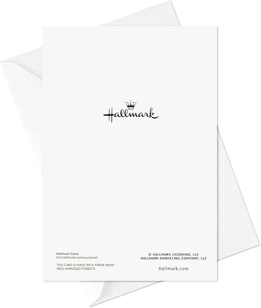 Hallmark Boxed Christmas Cards Assortment, Cardinals and Snowy Barn (40 Cards and Envelopes)