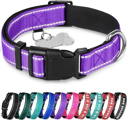 TECEUM Reflective Pet Collar – Purple – M – Extra Soft Padding – Basic Nylon Dog Collar – Quick Release Buckle – Fits Small, Medium and Large Dogs, Puppies, Cats – ESA & Service Dog Options