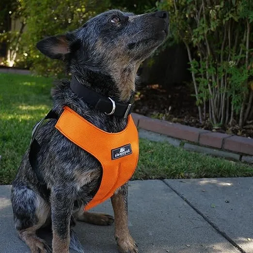 Clickit Sport Plus - Crash-Tested and Safety Certified Car Seat Belt Harness for Dogs (Small, Orange Dream)