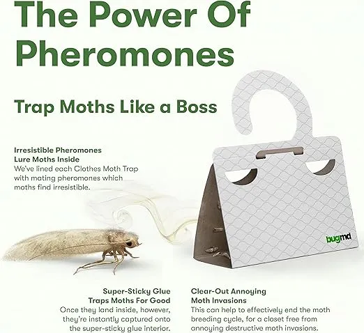 BugMD Clothes Moth Boss Traps (6 Count, White) - Sticky Glue Bug Repellent Pheromone Attractor for Closets Wardrobes Cabinet Drawers, Moth Balls for Closet, Moth Traps with No Harsh Chemicals