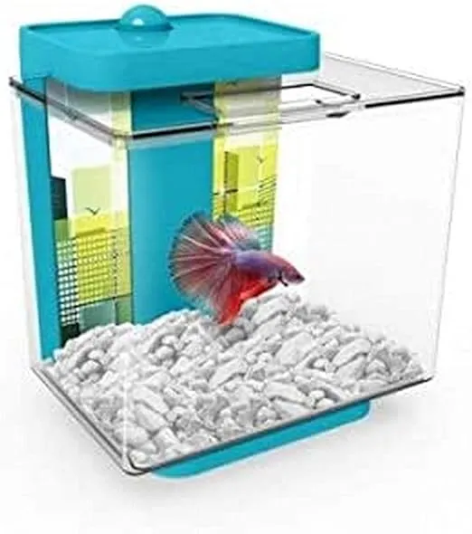 1.35 Gallon Betta Aquarium Provides no Mess, no Stress Maintenance and Includes decoractive Double-Sided Background and Pebbles