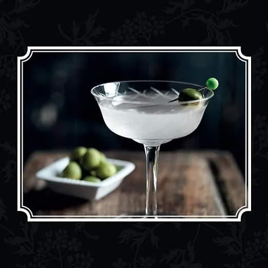 Art of Mixology: Bartender's Guide to Gin - Classic & Modern-Day Cocktails for Gin Lovers (The Art of Mixology)