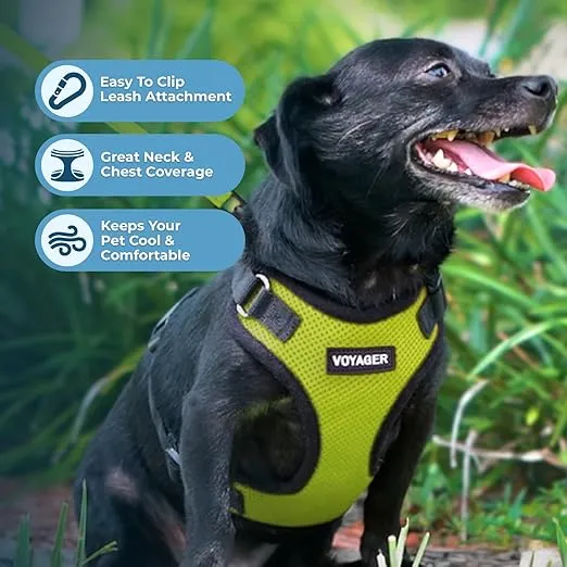 Voyager Step-in Lock Pet Harness - All Weather Mesh, Adjustable Step in Harness for Cats and Dogs by Best Pet Supplies - Lime Green/Black Trim, M