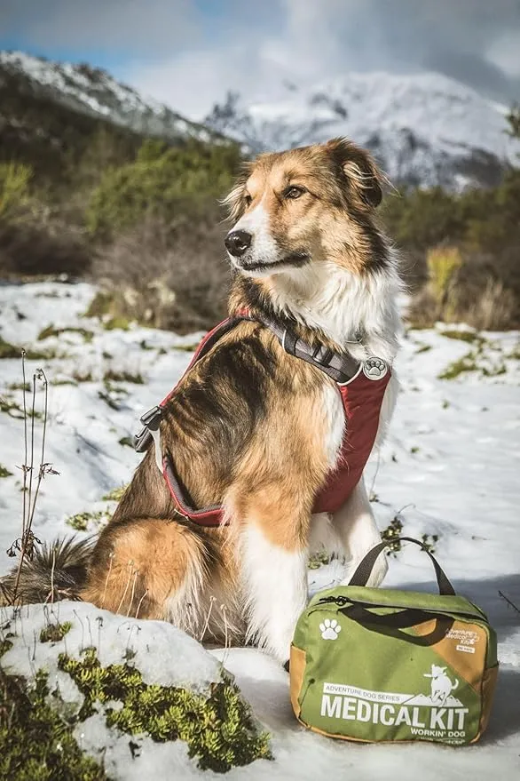 Adventure Medical Kits Workin' Dog Medical Kit with QuikClot - Canine Field First Aid Kit with Headlamp, Bandages, Cold Pack, Leash, Instruction Manual & More - Compact Dog Emergency Kit