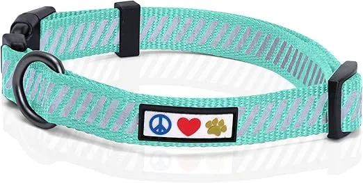 Pawtitas Reflective Dog Collar for Dog and Puppies A High Visibility Collar with Reflective Bands | Adjustable Dog Collar Heavy Duty Perfect for Extra Small and Small Puppies - Teal S Collar