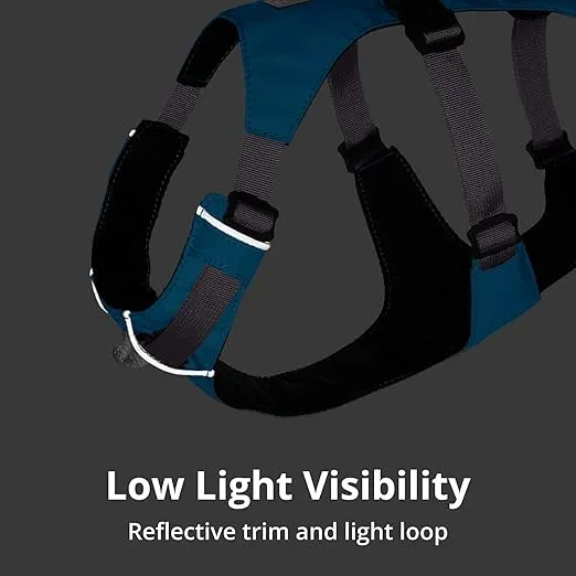 Ruffwear, Flagline Dog Harness, Lightweight Lift-and-Assist Harness with Padded Handle
