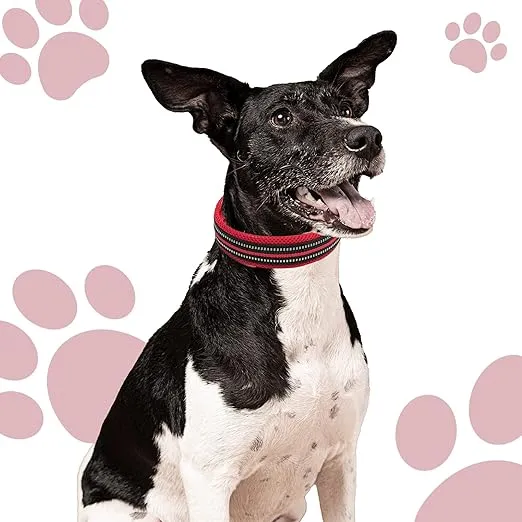Chai's Choice Dog Collar X Small (Red) | Comfortable & Stylish Pet Collar with Adjustable Strap Soft Padded | No-Choke & Quick Release | 3M Reflective Stripes for Dog Visibility