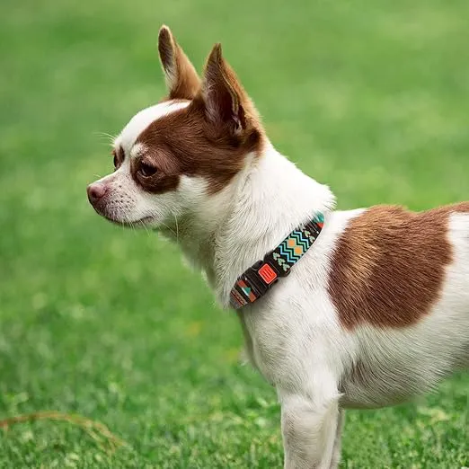 CollarDirect Dog Collar for Small Medium Large Dogs or Puppies, Cute Unique Design with a Quick Release Buckle, Tribal Ethnic Aztec Pattern, Adjustable Soft Nylon (Tribal, Neck Fit 10"-13")