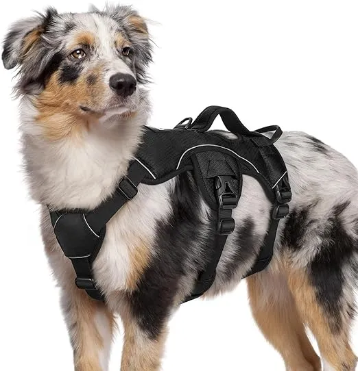 rabbitgoo Escape Proof Dog Harness, Soft Padded Full Body Pet Harness, Reflective Adjustable No Pull Vest with Lift Handle and Leash Clip for Large Dogs Walking Hiking Training, M, Black