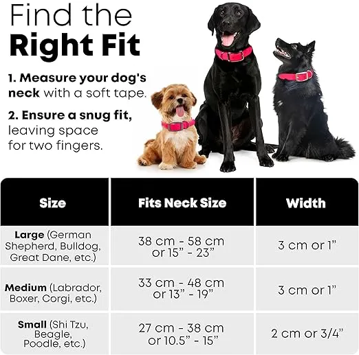 Regal Dog Products Small Pink Dog Collar with Heavy Duty Double Buckle & D Ring | Vinyl Coated, Custom Fit, Adjustable Biothane Dog Collar | Chew Resistant Waterproof Collar for Dogs