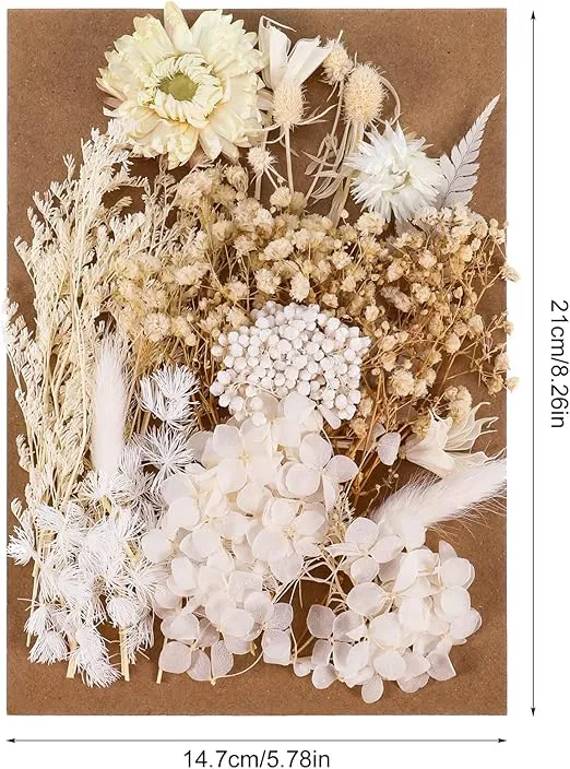 AhlsenL Real Dried Flowers, Natural Dried Flowers Mixed, Hydrangeas, Daisies, Natural Pressed Flowers White Decorative Dried Flowers for DIY Candle Resin Jewelry Nail Pendant Crafts Making(Beige)