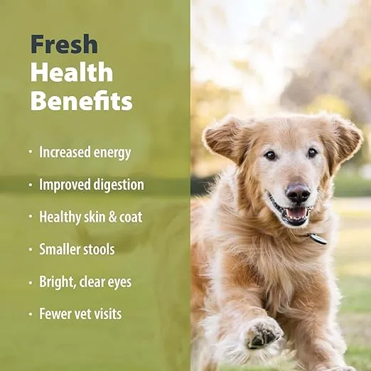 JustFoodForDogs Frozen Fresh Dog Food, Complete Meal or Dog Food Topper, Beef & Russet Potato Human Grade Dog Food Recipe, 18 oz (Pack of 7)