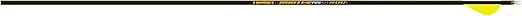 Gold Tip Hunter Pro Arrow with Raptor Vane (Pack of 6)