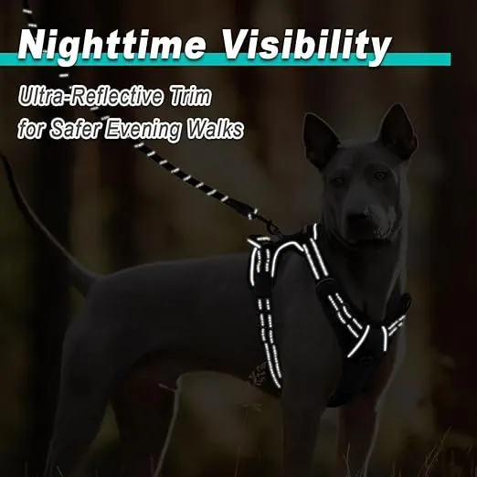 BARKBAY Dog Harness No Pull for Large Dogs - Adjustable, Reflective, Comfortable, No Choke, Heavy-Duty - Perfect for Outdoor Training, Walking, and Hiking - Strong & Durable - L & Black