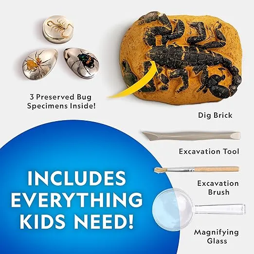 NATIONAL GEOGRAPHIC Real Bug Dig Kit - Dig up 3 Real Insects Including Spider, Fortune Beetle and Scorpion - Great STEM Science Gift
