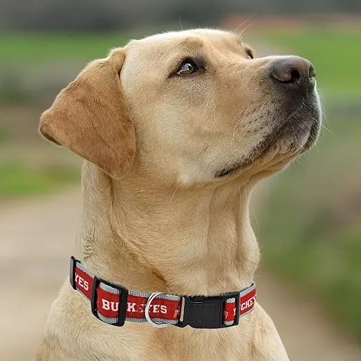 Pets First Collegiate PET Collar New Version Ohio State Buckeyes Dog Collar, Size Medium. Best Sports Team Color for Dogs & Cats. A Shiny & Colorful Dog & Cat Collar Licensed by The NCAA