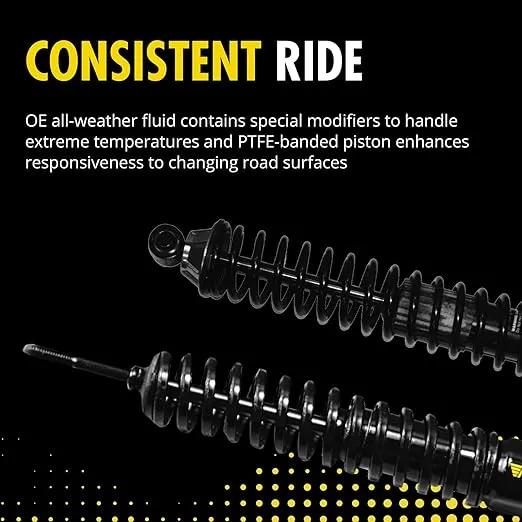 Monroe Load Adjusting 58643 Suspension Shock Absorber and Coil Spring Assembly Pack of 2 for Ford F-150