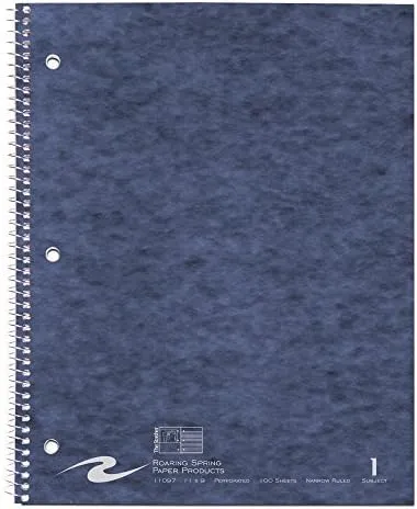 Roaring Spring Stasher One Subject Spiral Notebook, 100 Sheets, 11" x 9", Narrow Ruled, 3 Hole Punched, Assorted Cover Colors, Storage Pocket Inside Cover