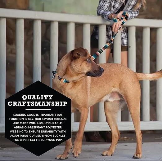 Wolfgang Adjustable Dog Training Collars for Medium Dogs, Durable & Easy to Clean Nylon Dog Collar with Quick Clip Buckles, for Training & Daily Use Made in USA, LostArt Print (1 Inch x 12-18 Inch)
