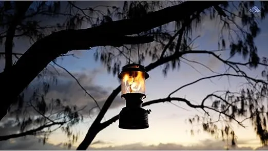 Coleman Powerhouse Dual Fuel Lantern Shines up to 800 Lumens, 2-Mantle Lantern Uses Coleman Liquid Fuel or Gasoline with Adjustable Brightness, Carry Handle, Mantles, & Funnel Included