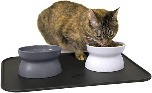 Kitty City Raised Cat Food Bowl Collection/Stress Free Pet Feeder and Waterer and Slow Feed Bowls