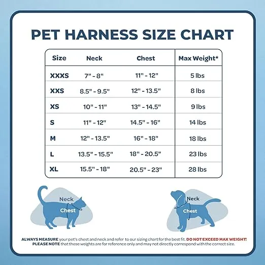Voyager Step-in Air Dog Harness - All Weather Mesh, Reflective, No Pull Harness for Small, Medium Dogs, Cats - Secure with Hook & Loop Fastener, Buckle, Double D-Rings - Black, XXS