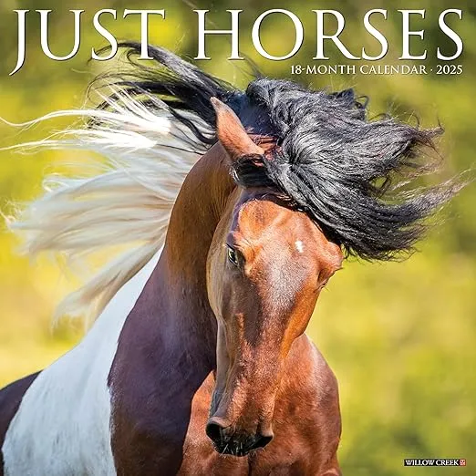 Willow Creek Press Horses Monthly 2025 Wall Calendar (12" x 12")
