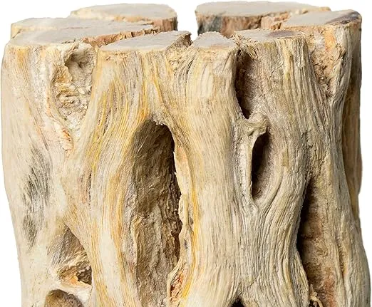 Galápagos (05271) Cholla Wood - Natural Aquarium & Terrarium Decoration for Fish Tanks, Reptile Tanks, and Bird Perches, 12”, Natural