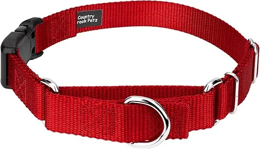 Country Brook Petz Heavy Duty Nylon Adjustable Martingale Dog Collar with Deluxe Buckle for Small Medium Large Breeds - 30+ Vibrant Color Options (1 Inch, Medium, Red)